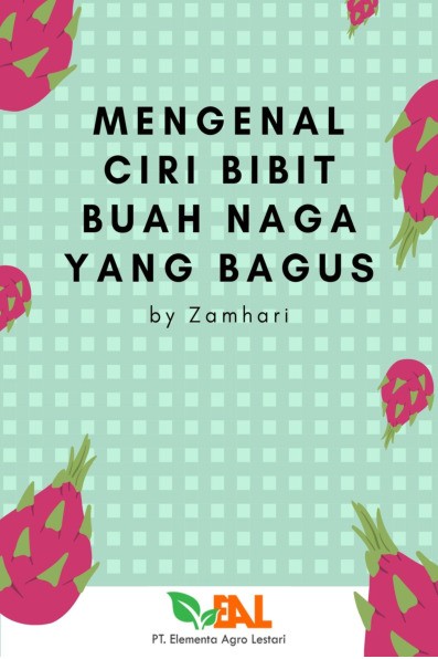 Mengenal Ciri Bibit Buah Naga yang Bagus